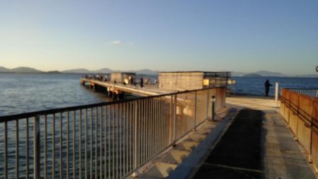 アジのサイズが少し大きくなってきました（下関フィッシングパーク）